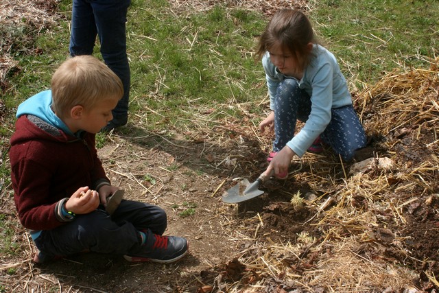 plantation pommes de terre avril