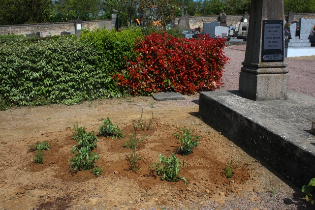 cimetière 2