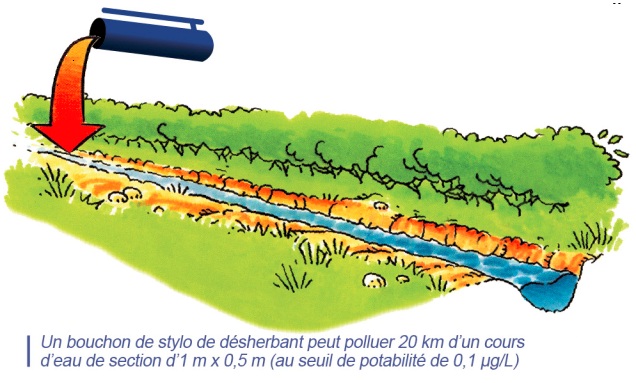 environnement1